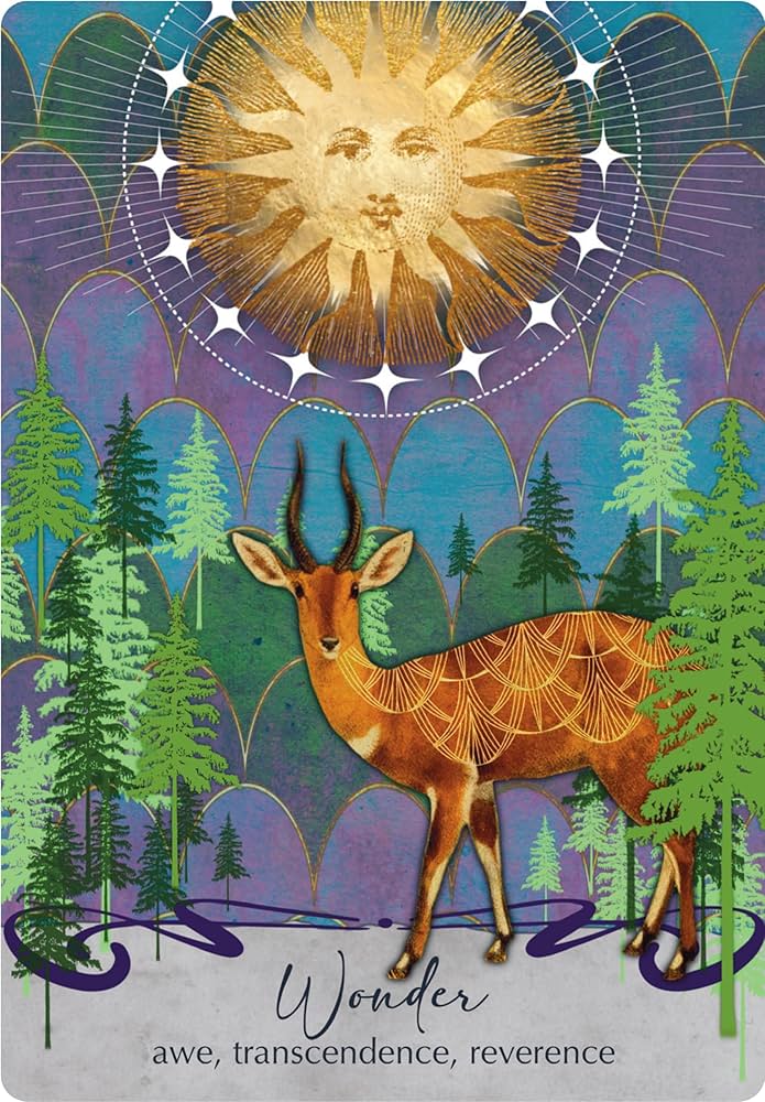 Amazon | The Oracle of Awakening: 44 Full-color Cards and